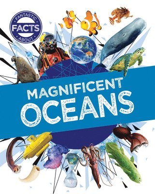 Warren Singer - Magnificent Oceans, Inbunden