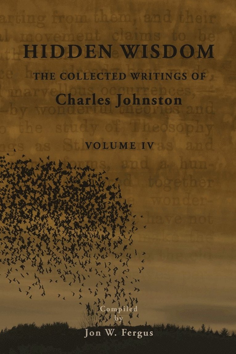Jon W Fergus, Charles Johnston - Hidden Wisdom V.4, Häftad. Tillgänglighet: Lägg i varukorg