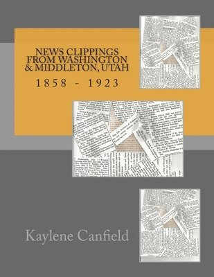 David Lee Andersen, Kaylene Canfield - News Clippings From Washington & Middleton, Utah, Häftad