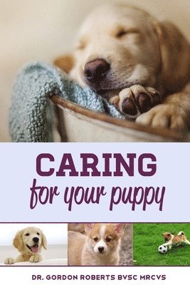 Gordon Roberts Bvsc Mrcvs - Caring for Your Puppy: How to care for your puppy and everything you need to know to keep them well., Häftad. Tillgänglighet: Lägg i varukorg