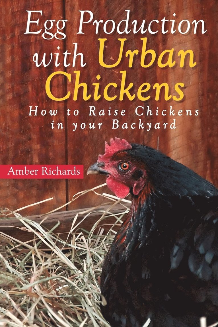 Amber Richards - Egg Production with Urban Chickens, Häftad. Tillgänglighet: Lägg i varukorg