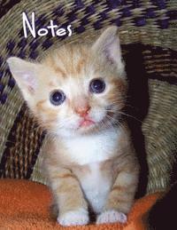 Marian Blake - Notes: Kitten, Häftad. Tillgänglighet: Lägg i varukorg