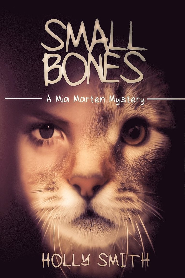 Holly Smith - Small Bones, Häftad. Tillgänglighet: Lägg i varukorg
