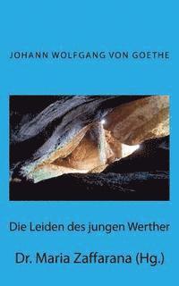 Maria Zaffarana (Hg ) - Leiden des jungen Werther, Häftad