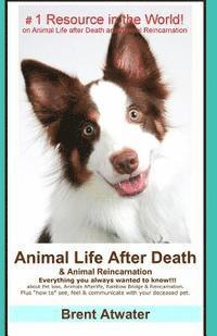 Brent Atwater - Animal Life After Death & Animal Reincarnation: Pet Loss Answers for all your heart's Questions!, Häftad. Tillgänglighet: Lägg i varukorg