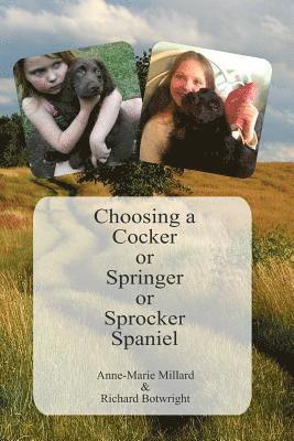 Anne-Marie Millard - Choosing a Cocker or Springer or Sprocker Spaniel: Working Spaniels - for pets, company, work and fun., Häftad. Tillgänglighet: Lägg i varukorg