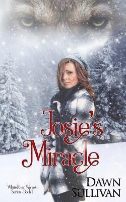 Dawn Sullivan - Josie's Miracle, Häftad. Tillgänglighet: Lägg i varukorg