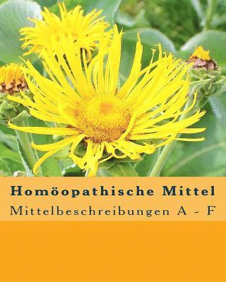 Peter Baumann - Homöopathische Mittel: Mittelbeschreibungen A - F, Häftad