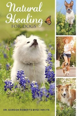 Gordon Roberts - Natural Healing for Dogs, Häftad. Tillgänglighet: Lägg i varukorg