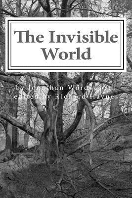 Richard Haynes, Richard Haynes - The Invisible World: Lectures on British Romantic Poetry and the Romantic Imagination, Häftad