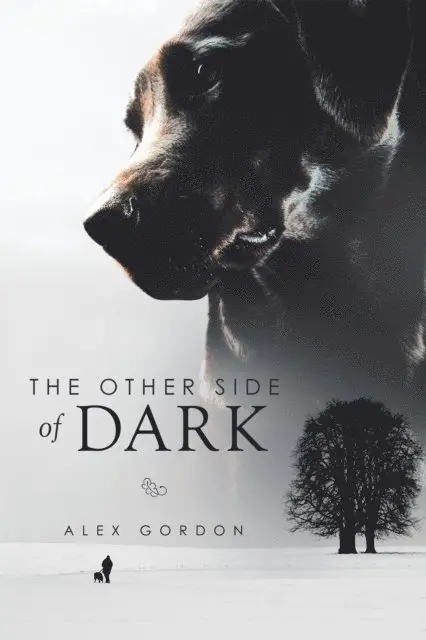 Alex Gordon - Other Side of Dark, E-bok. Tillgänglighet: Lägg i varukorg
