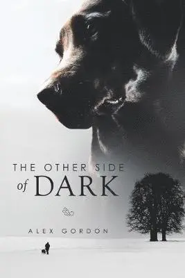 Alex Gordon - Other Side of Dark, Häftad. Tillgänglighet: Lägg i varukorg