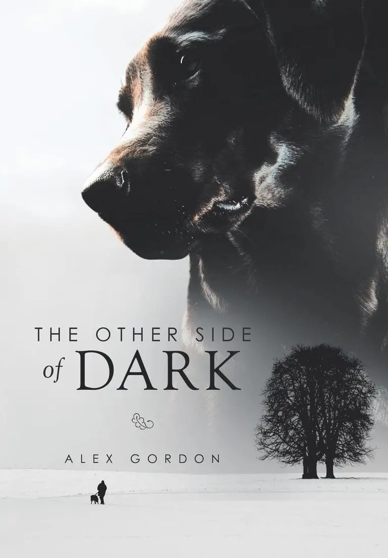 Alex Gordon - Other Side of Dark, Inbunden. Tillgänglighet: Lägg i varukorg