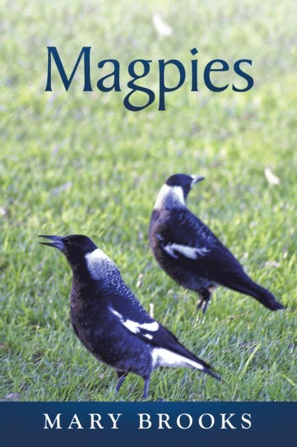 Mary Brooks - Magpies, E-bok