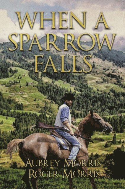 Roger Morris, Aubrey Morris - When a Sparrow Falls, E-bok