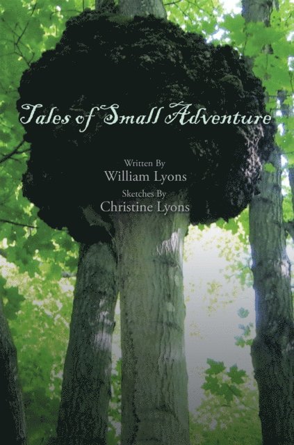 William Lyons - Tales of  Small Adventure, E-bok