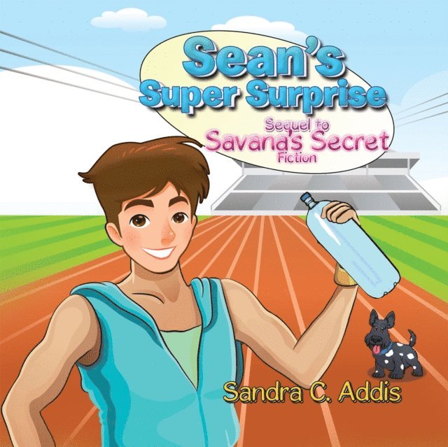 Sandra C. Addis - Sean'S Super Surprise, E-bok