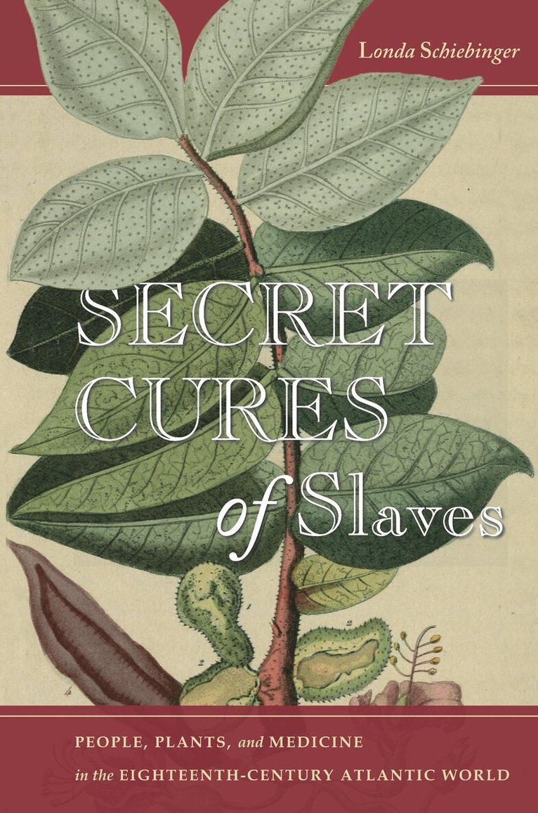 Londa Schiebinger - Secret Cures of Slaves, E-bok