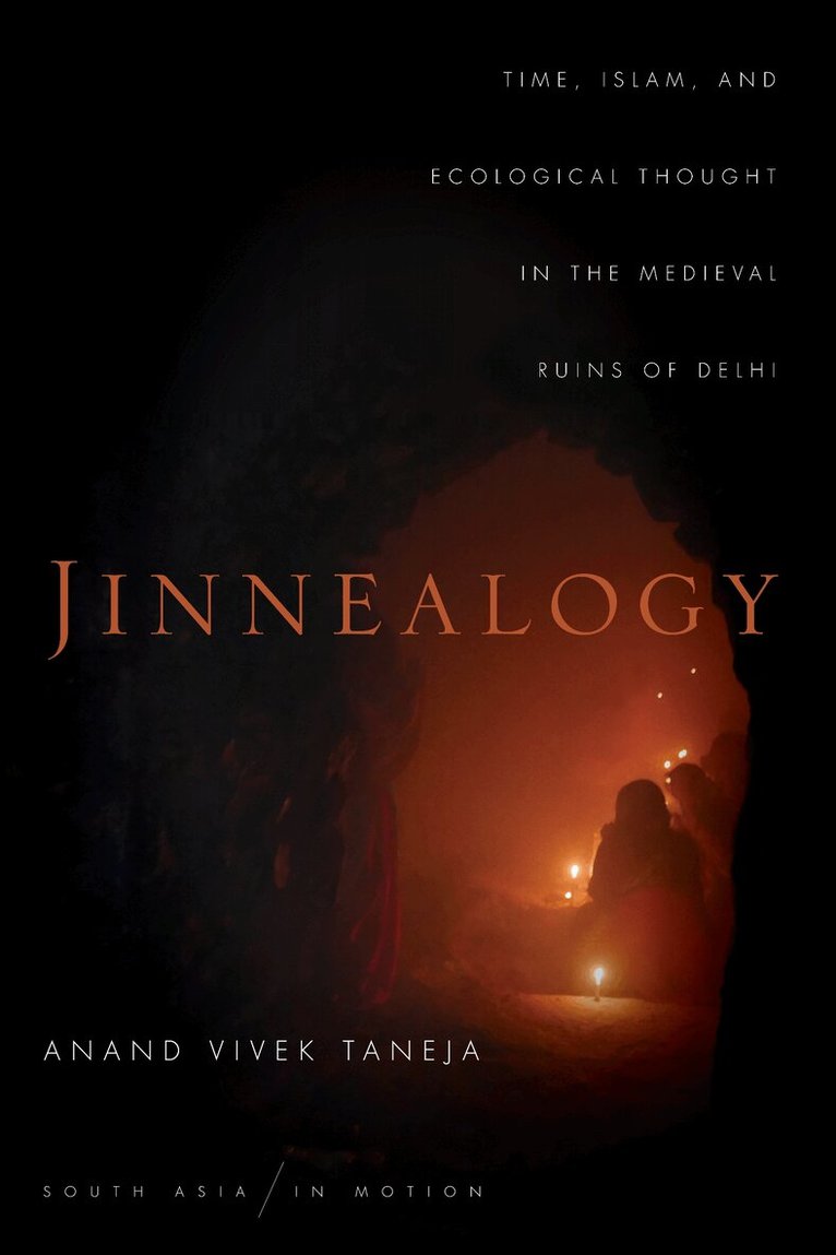 Anand Vivek Taneja - Jinnealogy, E-bok