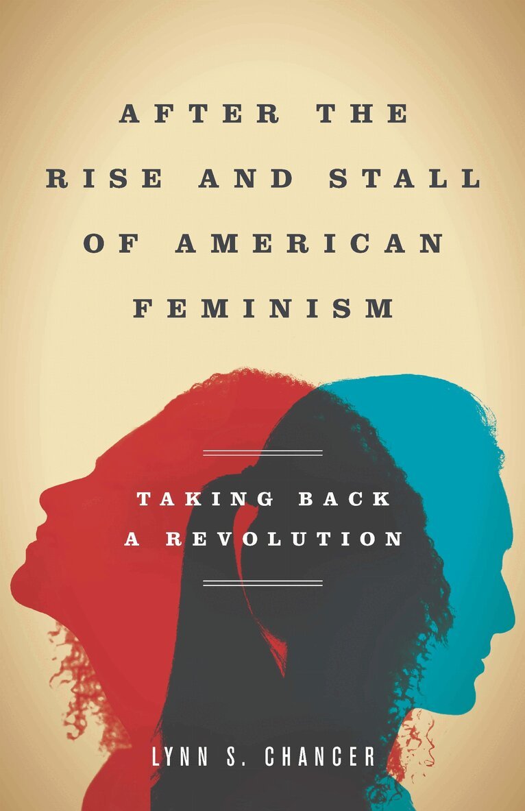 Lynn S. Chancer - After the Rise and Stall of American Feminism, E-bok