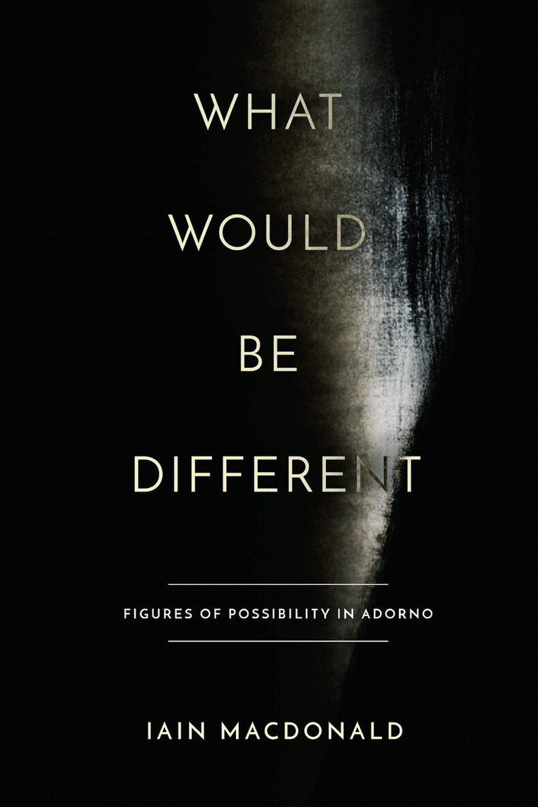 Iain Macdonald - What Would Be Different, E-bok