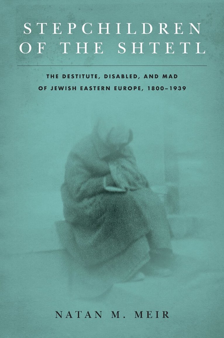 Natan M. Meir - Stepchildren of the Shtetl, E-bok