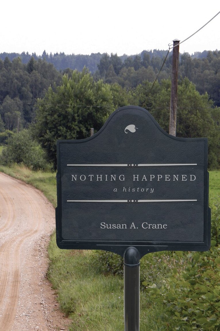 Susan A. Crane - Nothing Happened, E-bok