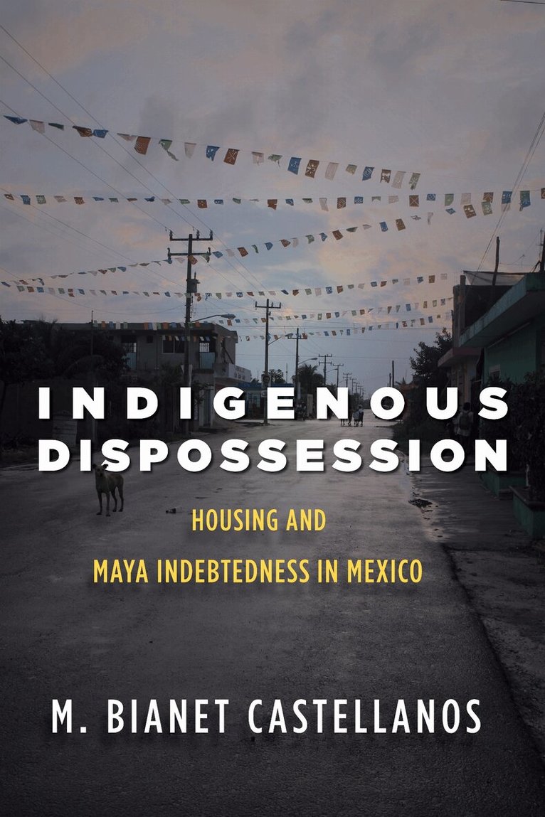 M. Bianet Castellanos - Indigenous Dispossession, E-bok