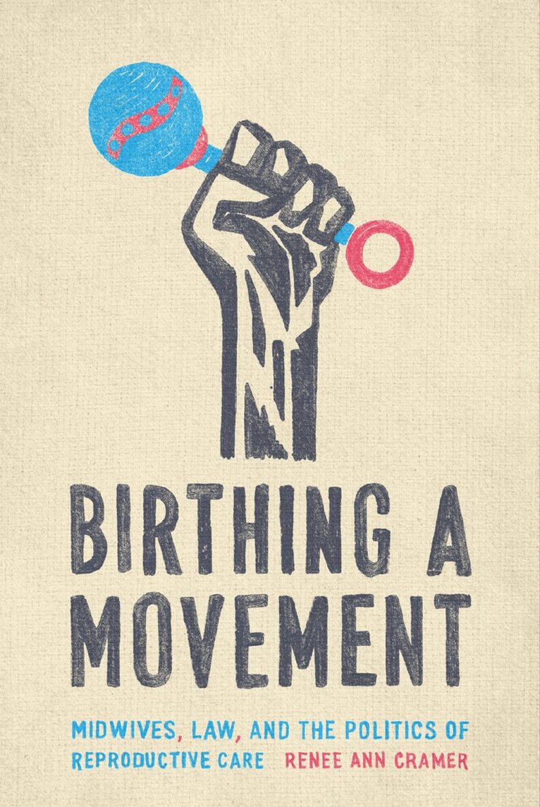 Renée Ann Cramer - Birthing a Movement, E-bok