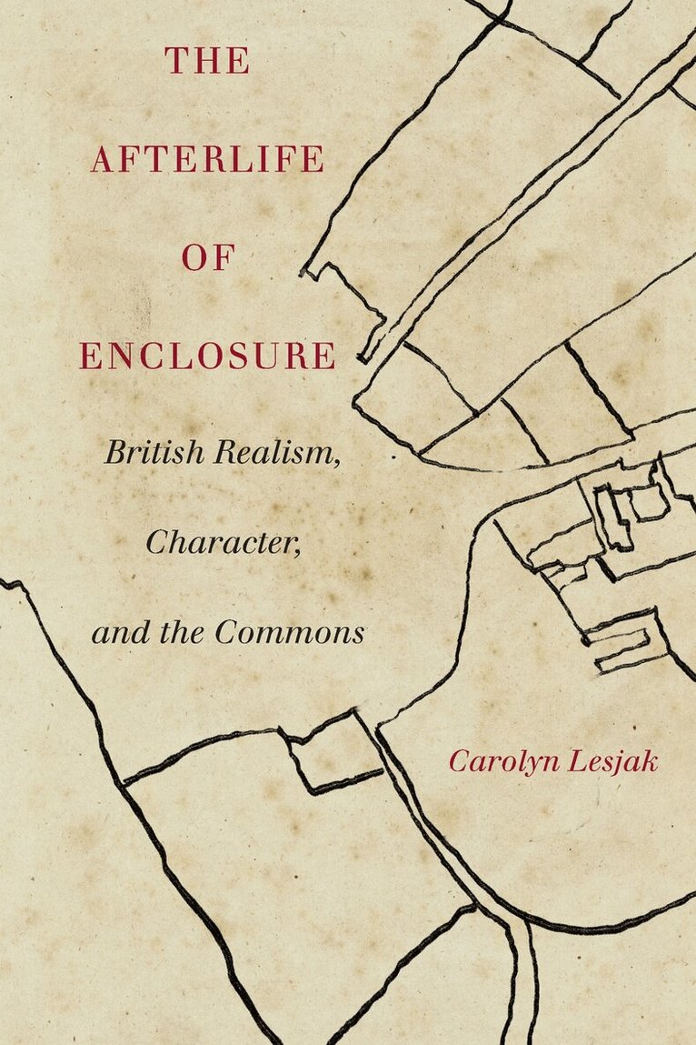 Carolyn J. Lesjak - Afterlife of Enclosure, E-bok