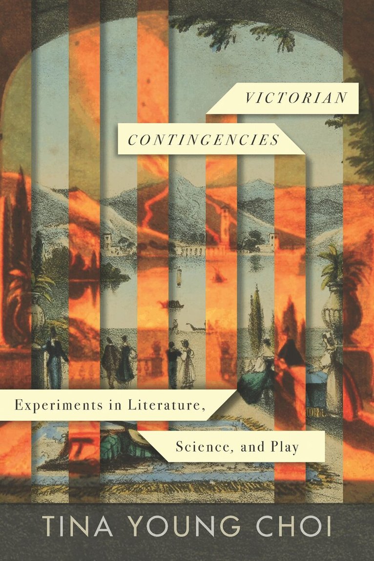 Tina Young Choi - Victorian Contingencies, E-bok