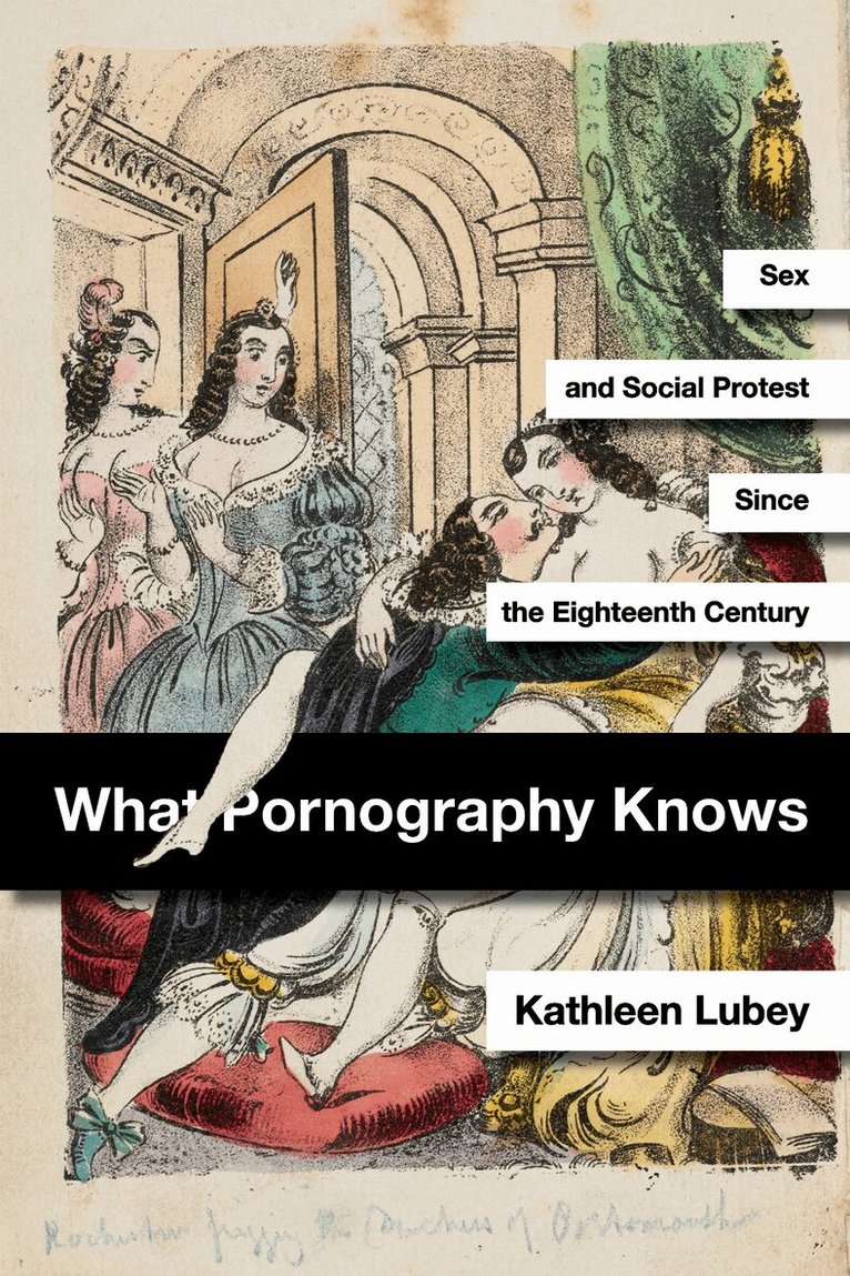 Kathleen Lubey - What Pornography Knows, E-bok