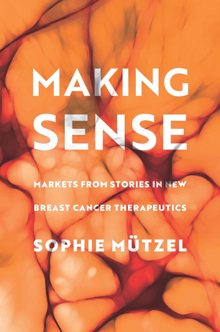 Sophie Mützel - Making Sense, E-bok