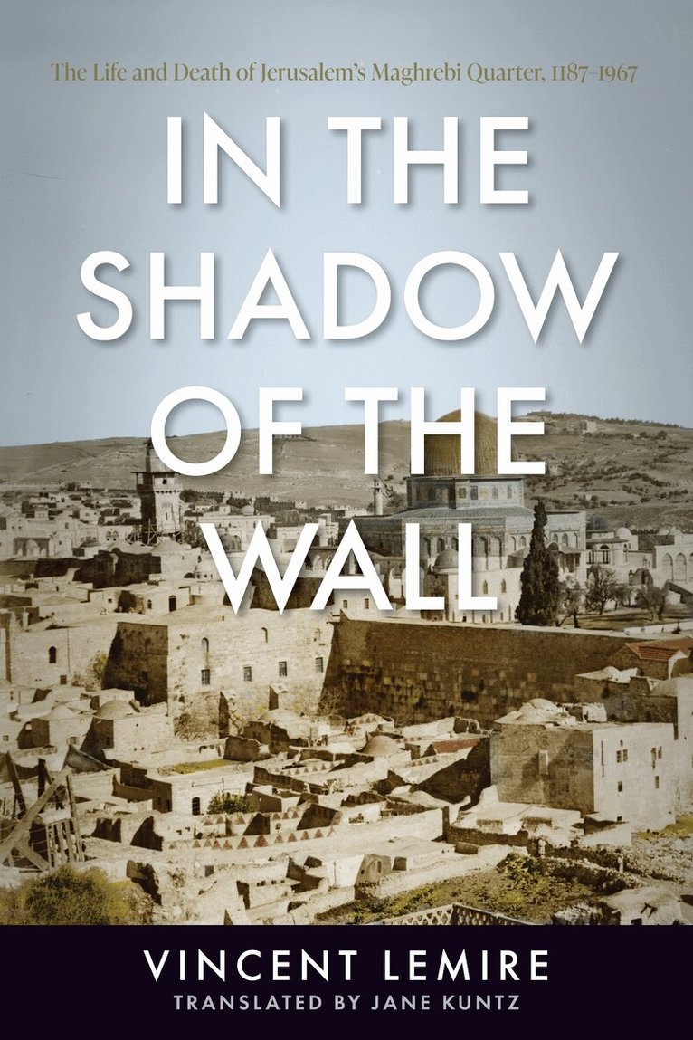 Vincent Lemire - In the Shadow of the Wall, E-bok