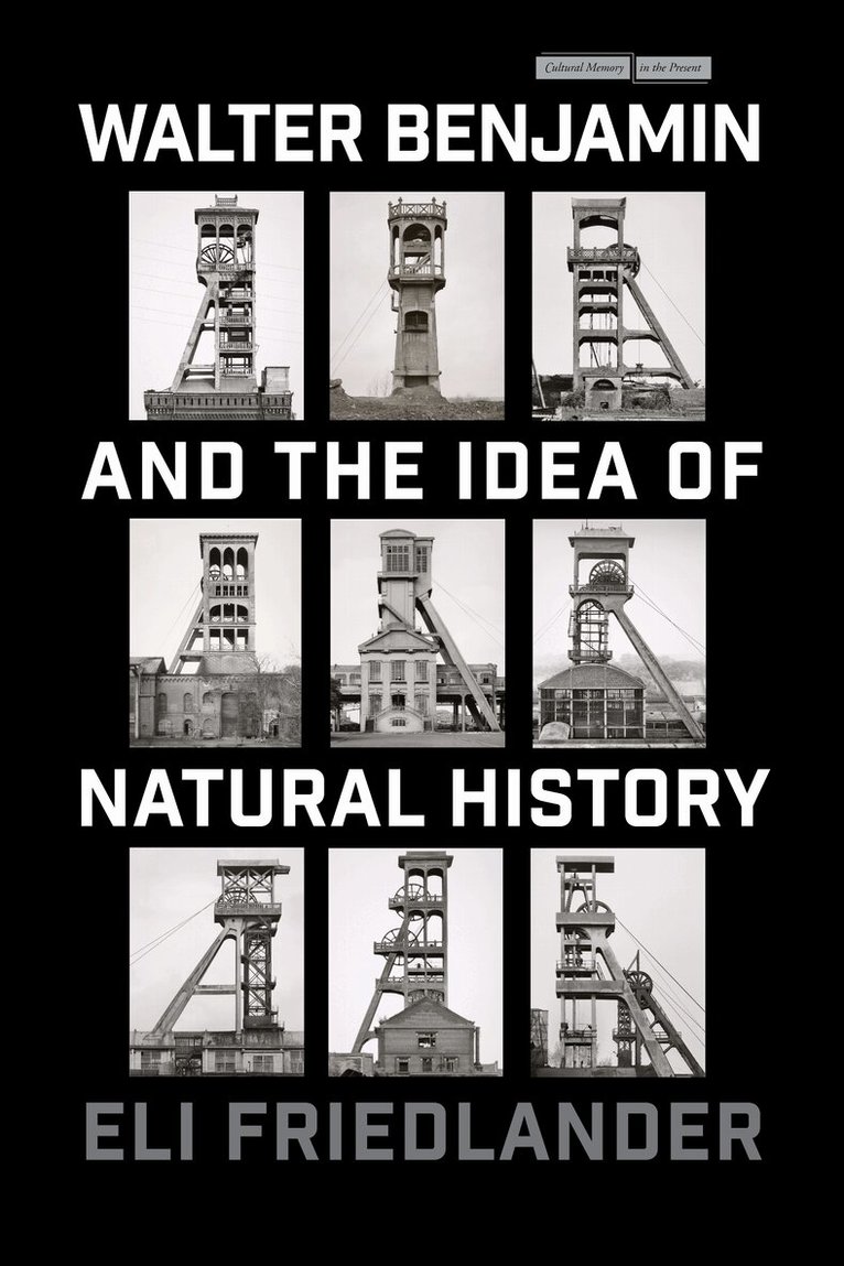 Eli Friedlander - Walter Benjamin and the Idea of Natural History, Häftad