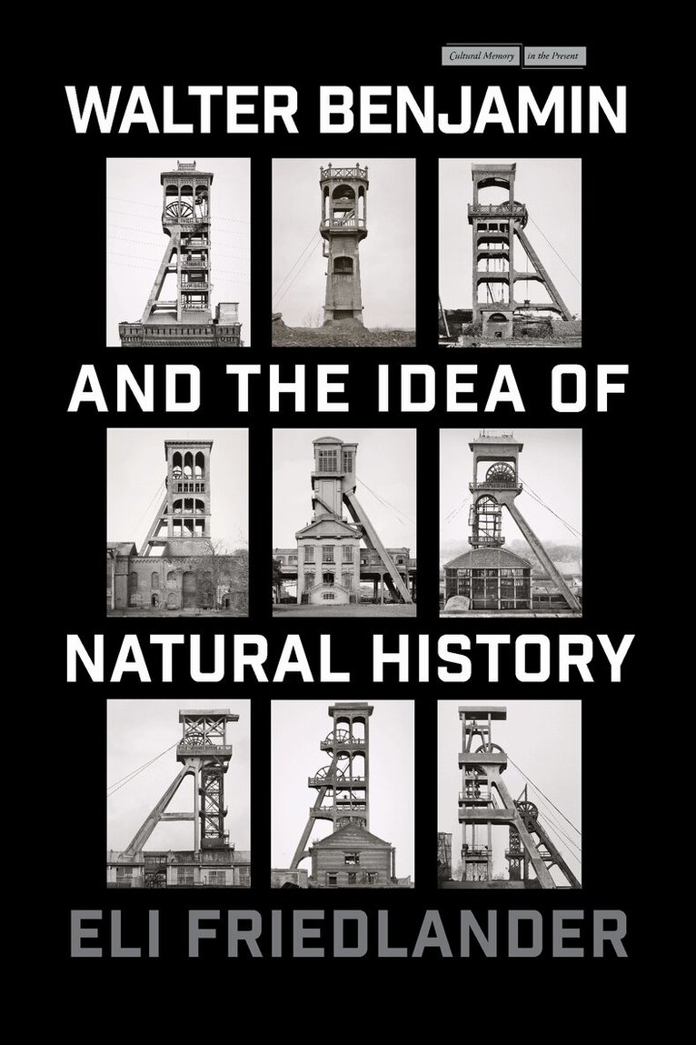 Eli Friedlander - Walter Benjamin and the Idea of Natural History, E-bok