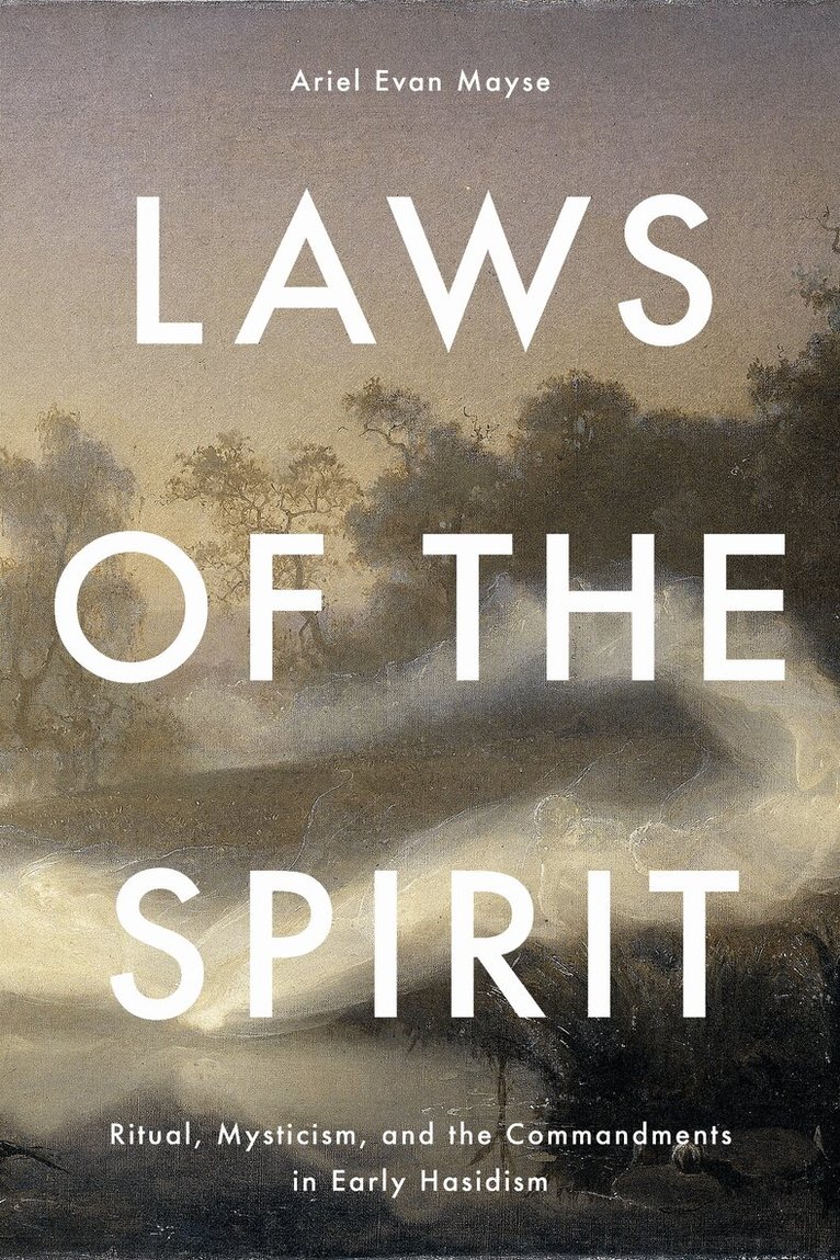 Ariel Evan Mayse - Laws of the Spirit, E-bok