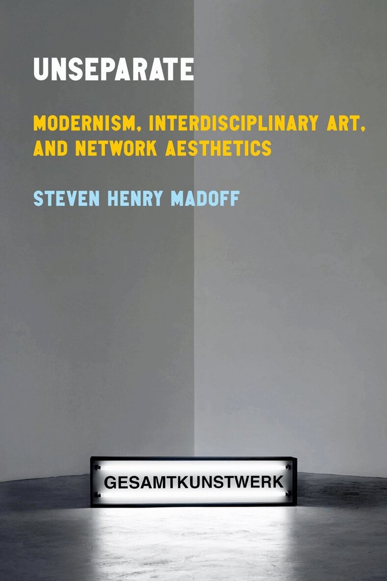 Steven Henry Madoff - Unseparate, E-bok