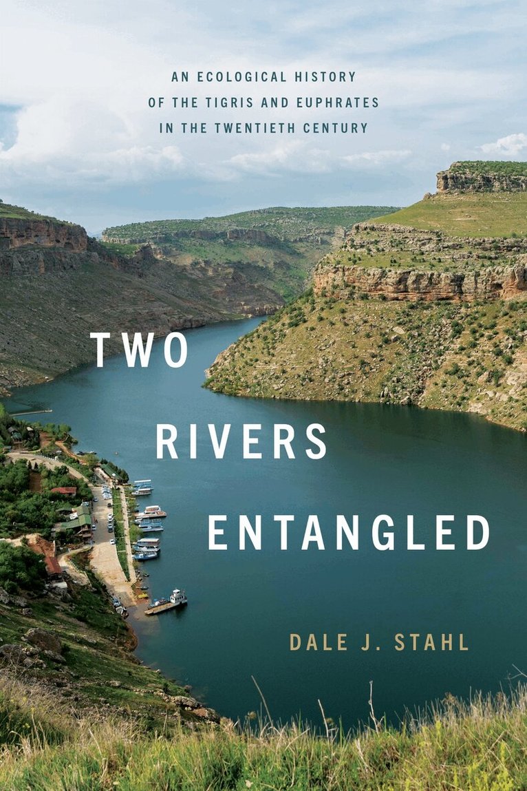 Dale J. Stahl - Two Rivers Entangled, Häftad