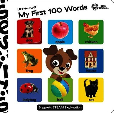 Baby Einstein: My First 100 Words Lift-A-Flap by Pi Kids