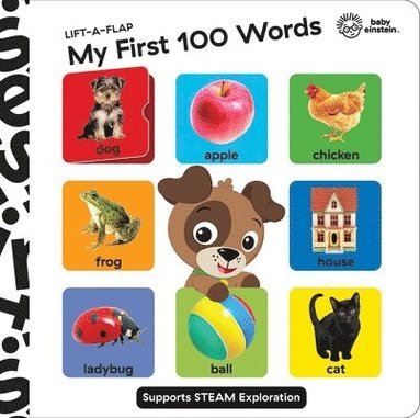 Baby Einstein: My First 100 Words Lift-A-Flap av Pi Kids