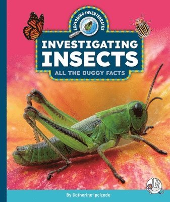Catherine Ipcizade - Investigating Insects: All the Buggy Facts, Inbunden