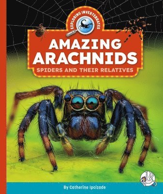 Catherine Ipcizade - Amazing Arachnids: Spiders and Their Relatives, Inbunden