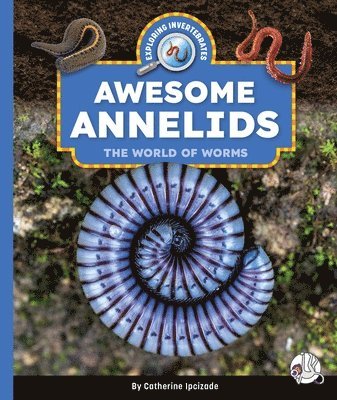 Catherine Ipcizade - Awesome Annelids: The World of Worms, Inbunden