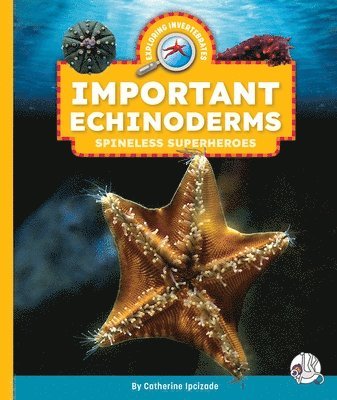 Catherine Ipcizade - Important Echinoderms: Spineless Superheroes, Inbunden