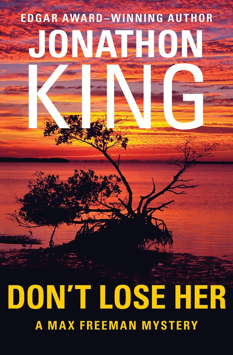 Jonathon King - Don't Lose Her, Häftad
