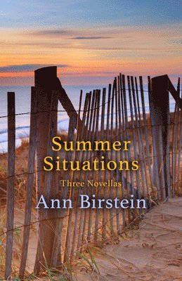 Ann Birstein - Summer Situations, Häftad. Tillgänglighet: Lägg i varukorg