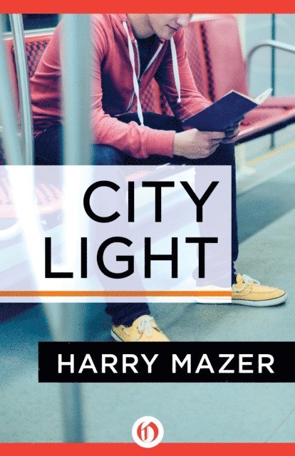 Harry Mazer - City Light, E-bok