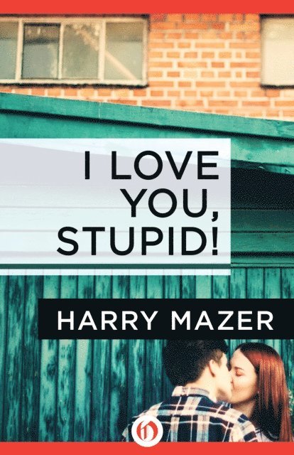Harry Mazer - I Love You, Stupid!, E-bok