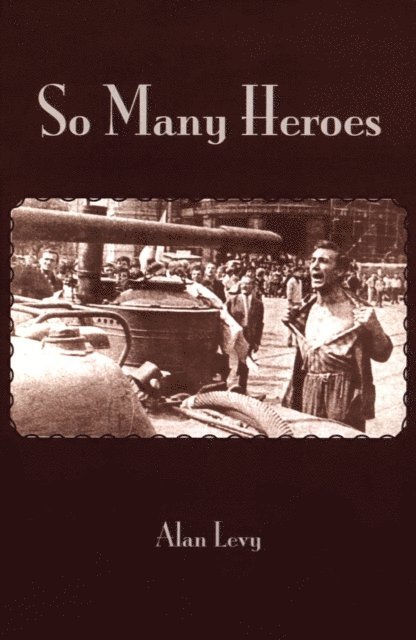 Alan Levy - So Many Heroes, E-bok